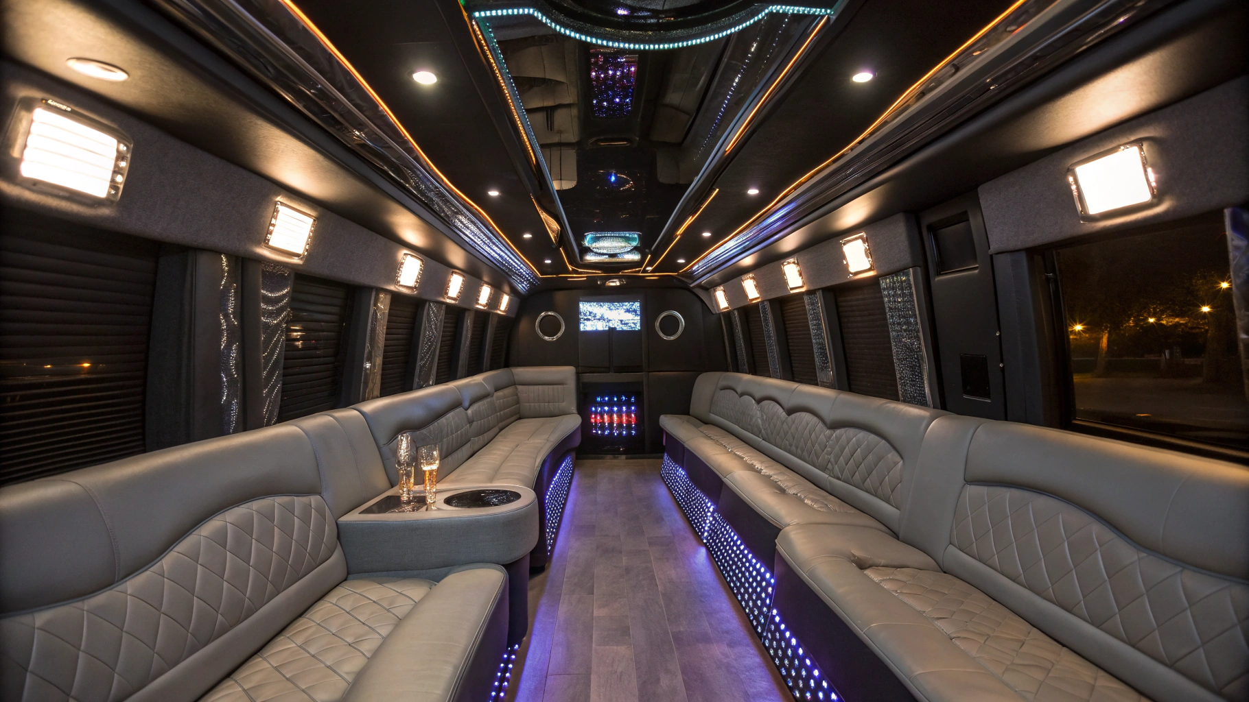 Mini Coach Bus Executive Party Bus